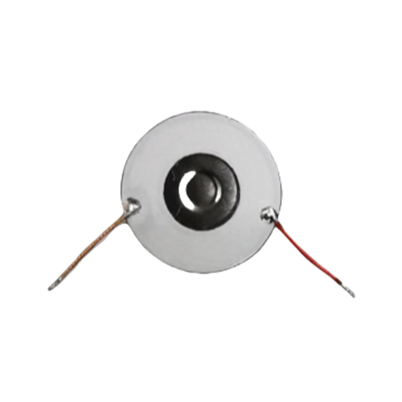 Comprimés de nébuliseur de 10 mm Lavage nasal Hydratant spécial Spray buccal Humidificateur Nébuliseur Comprimés de pulvérisation spéciaux Faible consommation d'énergie Disque de nébuliseur à micro-mailles en acier inoxydable