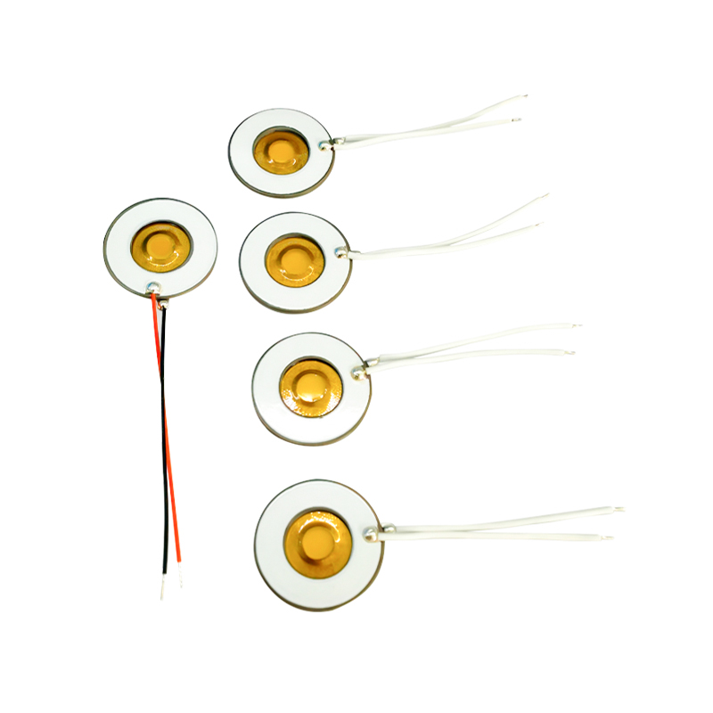 Membrane en polyimide PI M16-110KHZNébuliseur à micro-mailles en mailleNébuliseur médicalNébuliseur à mailles ultrasoniquesDisque de nébuliseur microporeux de 3 μm pour nébuliseur par inhalation
