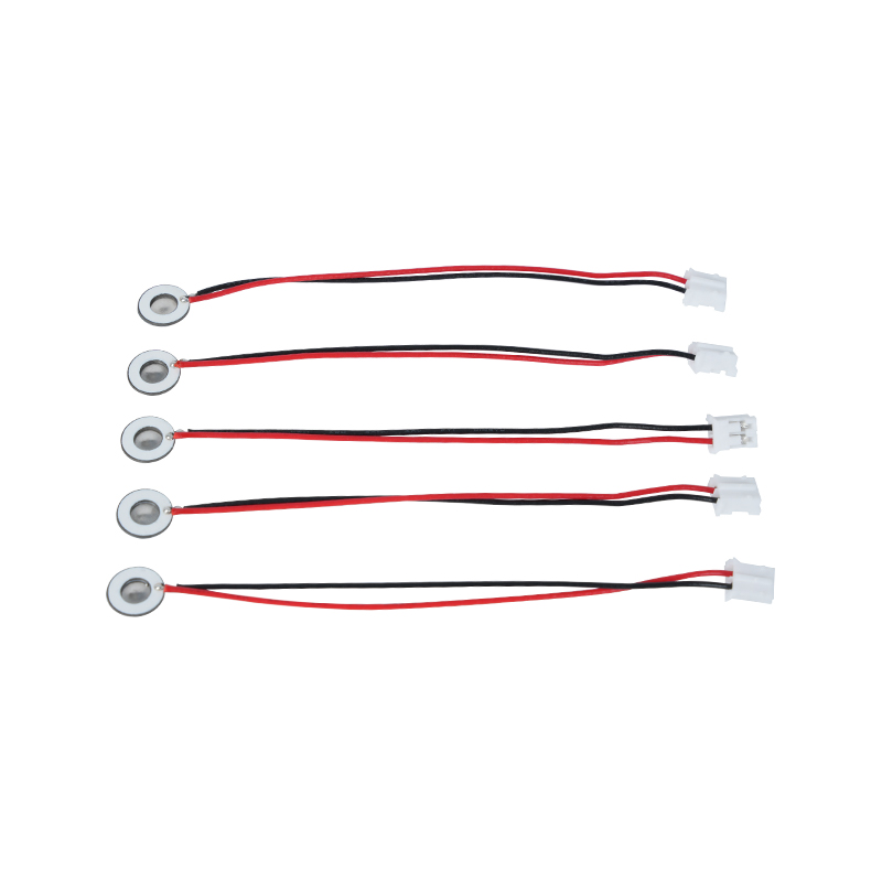 Produits miniaturisés Plateau de brumisation à mailles médicales inhalables de Φ8 mm Petite quantité d'humidification par atomisation avec plateau de brumisation Plateau de brumisation parfumé