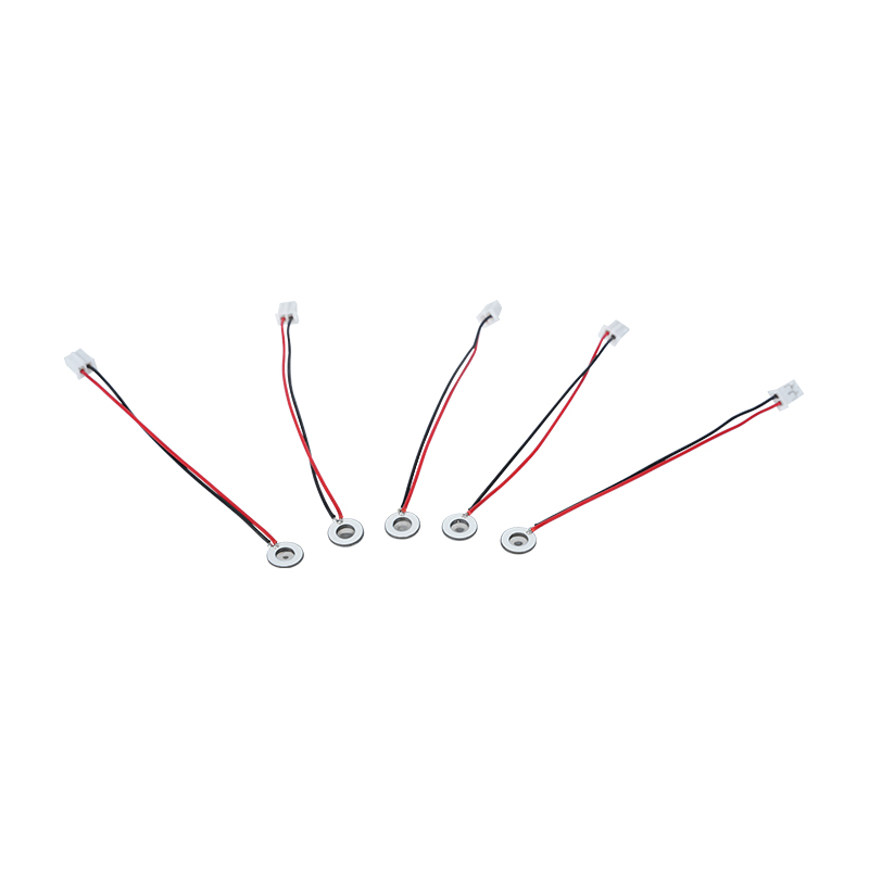 Φ8mm Micro Humidificateur Hydratant Pour Les Yeux Spray Bouche Désodorisant Spray Nez Micro Mesh Atomiseur Disque Mini Dispositif Atomisation Humidificateur Feuille