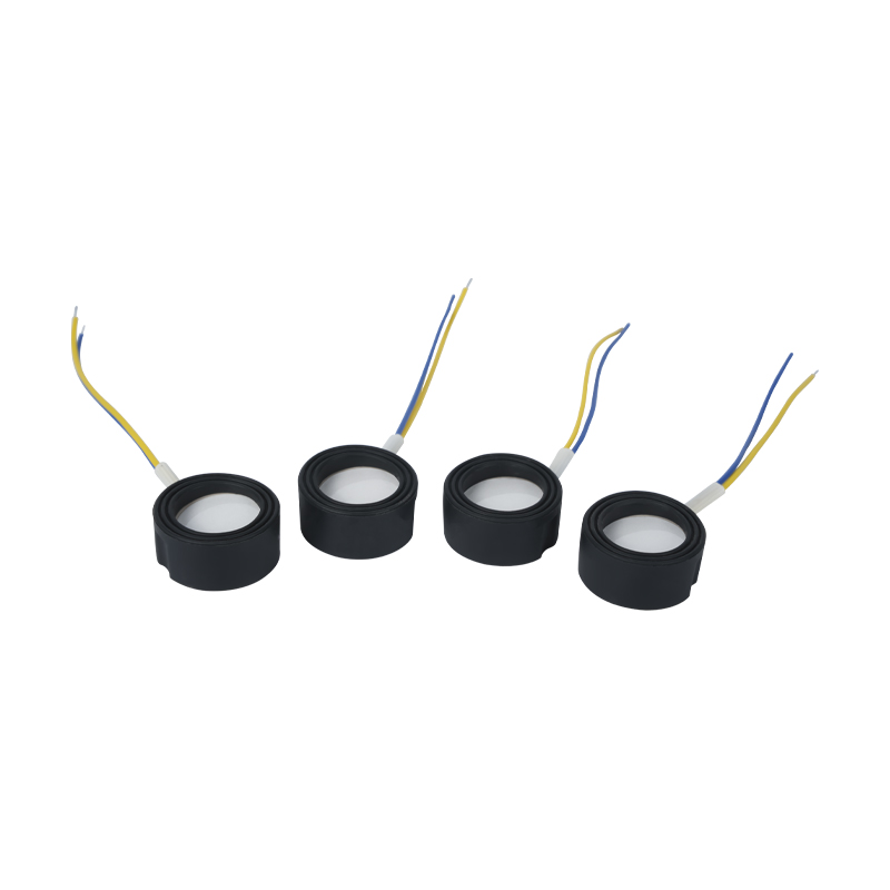 Bain de pieds à atomisation ultrasonique haute fréquence 25 mm 1,7 MHz Wigwam Cloud Mist Aménagement paysager Grande quantité d'atomisation Transducteur piézoélectrique en céramique Atomiseur oscillant haute puissance 220 V 36 W