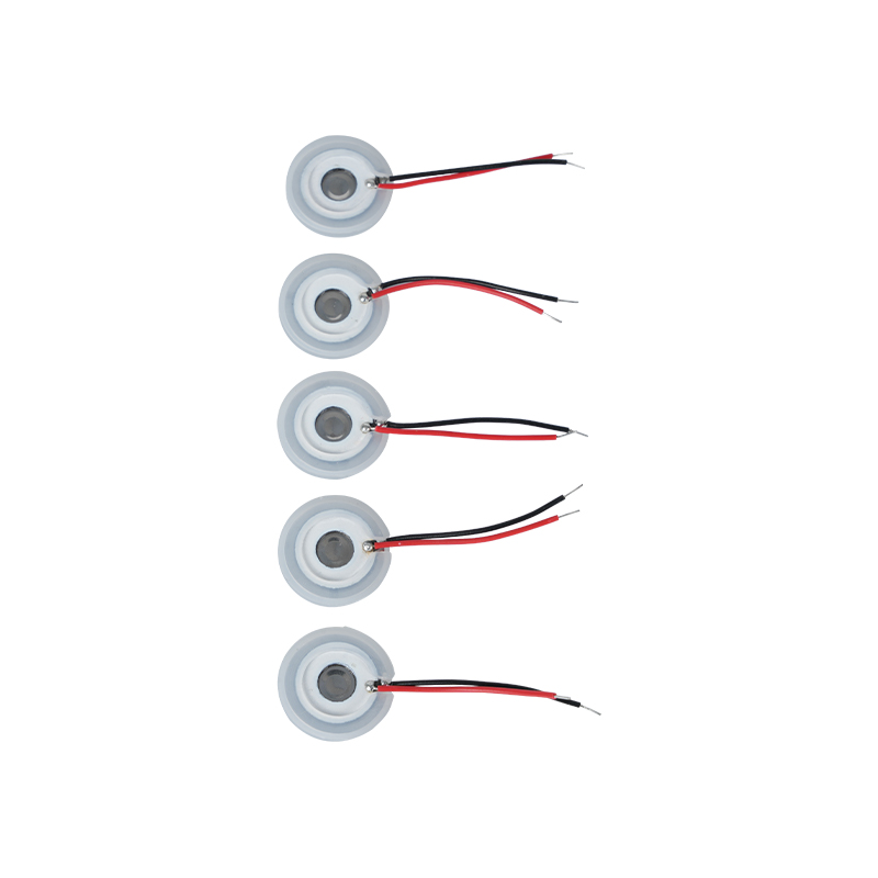 Feuille de brumisation ultrasonique en maille d'acier inoxydableHumidification des huiles essentielles aromatiquesPlateau de brumisation microporeuxFeuille de pulvérisation 16-110KHZFeuille de pulvérisation à trousPlateau de brumisation en maille maillée