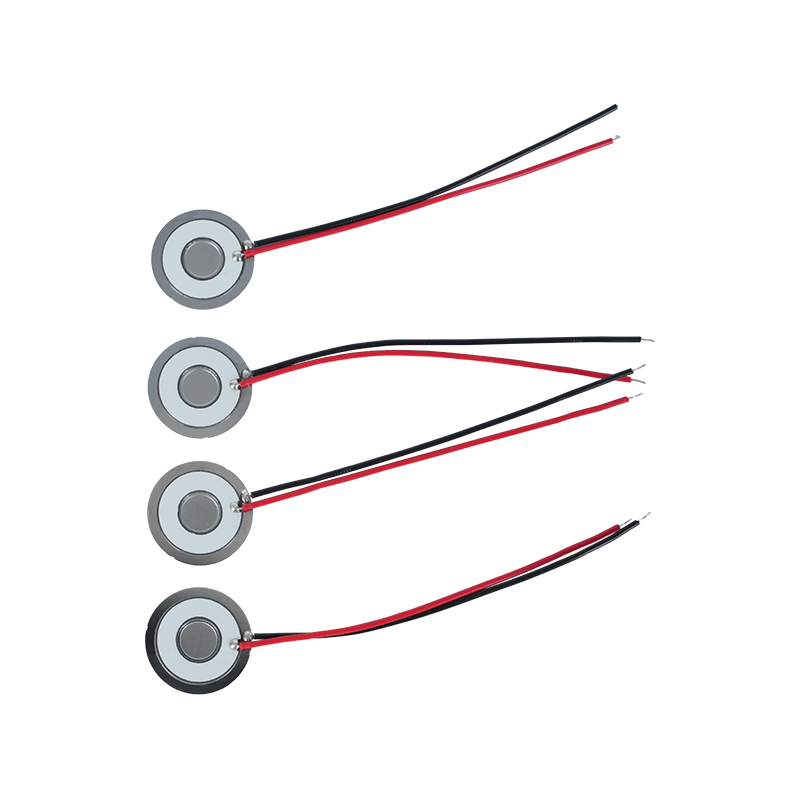 Φ20 Fréquence du disque d'atomisation 111khz304 Micro-maille en acier inoxydable Disque d'atomisation Feuille d'atomisation Climatiseur Refroidisseur Réfrigérateur Maille d'humidification fraîche Feuille de dispersion d'atomisation Taux d'atomisation> 800 ml/H