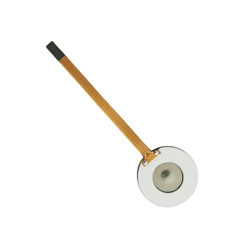 Membrane en polyimide PI M16-110KHZNébuliseur à micro-mailles en mailleNébuliseur médicalNébuliseur à mailles ultrasoniquesDisque de nébuliseur microporeux de 3 μm pour nébuliseur par inhalation